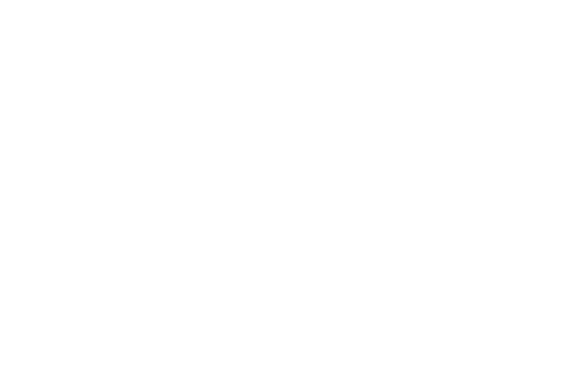 DímeloFlow